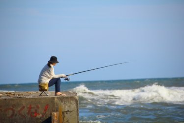 今釣れる魚が分かる 魚の釣れる時期を魚種別 シーズン別に解説 Fishbuzz